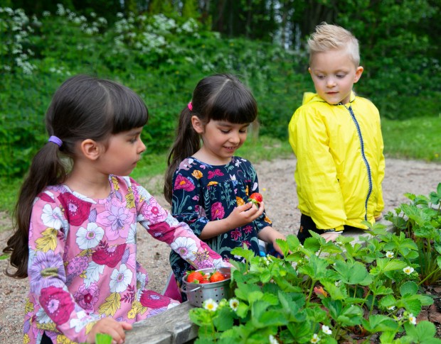 961_annoskirja2_1332