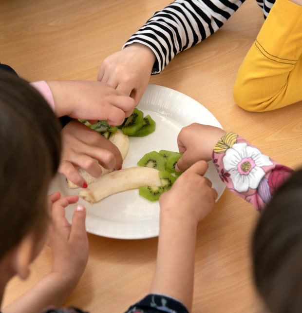 961_annoskirja2_2390